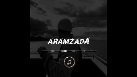 Ara Zakyan - TIk Tok
