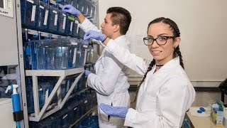 At CSUDH, I'm a scientist as well as a student