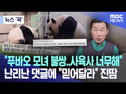 [뉴스 &#39;꾹&#39;] &quot;푸바오 모녀 불쌍..사육사 너무해&quot;  난리난 댓글에 &quot;믿어달라&quot; 진땀(2023.12.31/MBC뉴스)