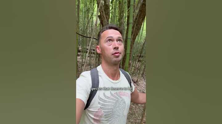Bambooooo!