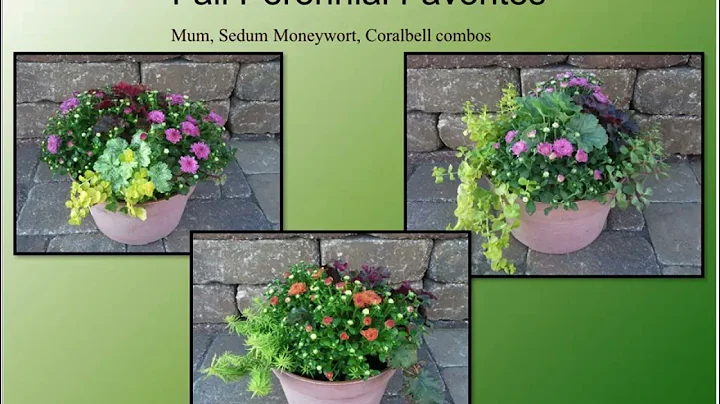 Create Colorful Fall Landscapes with Pansies, Pere...