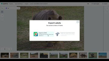 Export labels - Tips - LabelFlow