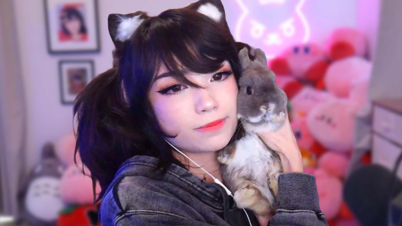 Dashboard Video : Emiru I wanted to Apologize. · Wizdeo Analytics