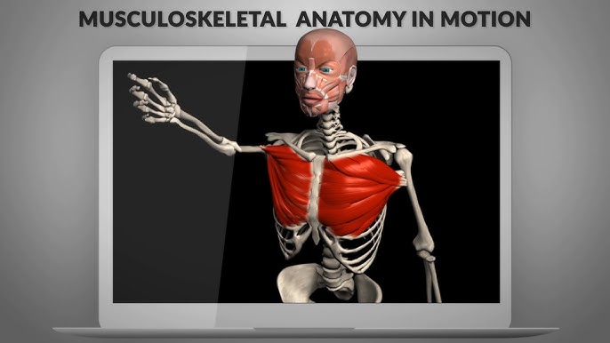 Muscle And Motion software, free download Muscle And Motion software, free download