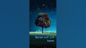 سورة الرحمن بصوت الشيخ ياسر الدوسري