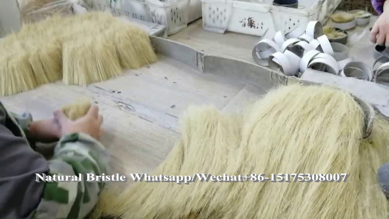 Chungking Boiled Bristle