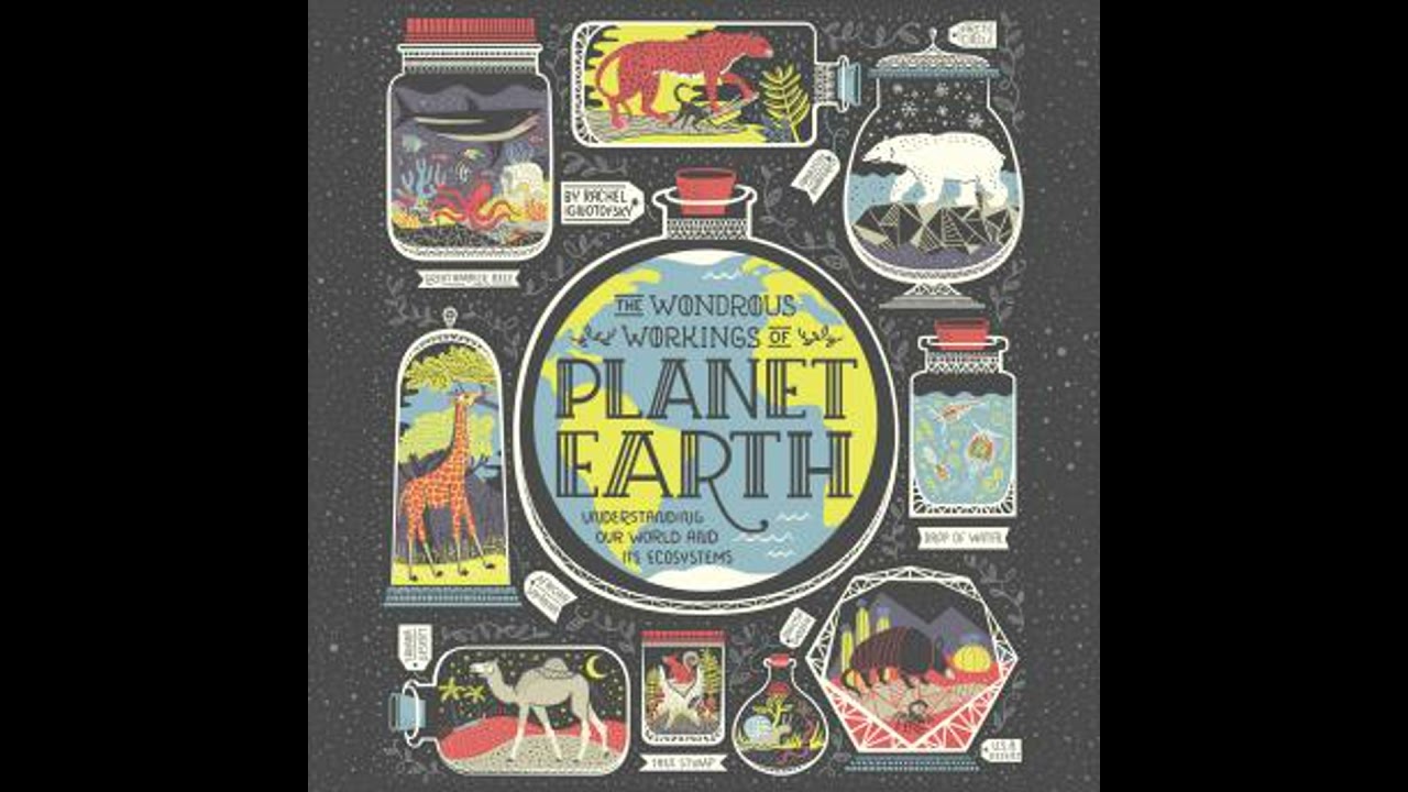 Wondrous Workings of Planet Earth: Understanding Our World and Its Ecosystems - Rachel Ignotofsky