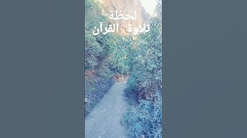 أجمل تلاوات القرآن الكريم #اللهم اجعل القرآن العظيم ربيع قلوبنا ونور صدورنا وجلاء أحزاننا
