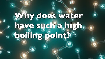 Why does water have such a high boiling point?