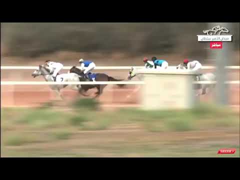 الشوط الثالث من الحفل الأول فوز الجواد شارق