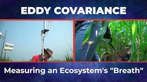 Explaining Eddy Covariance Research at The University of Illinois