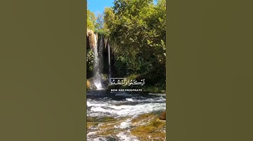 القران الكريم راحة نفسية ارح قلبك المتعب قيلٱ 🤍