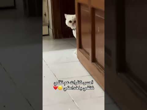 شوفو شو عمل فيني العاق  اكسبلور