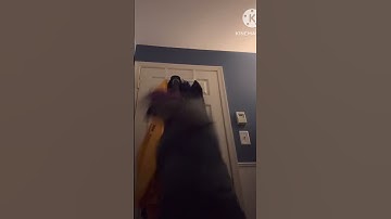 The fedora behind the slaughter