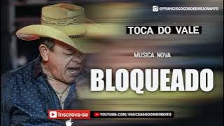 TOCA DO VALE BLOQUEADO | MUSICA NOVA 2022 #TOCADOVALE #FORROZAO