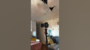 Testing 3D scanning My camera #Nerf