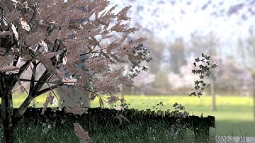 Cherry Blossom *(Maya Modeling Animation)