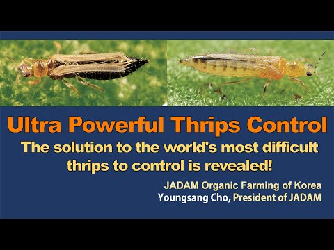 Ultra Powerful Thrips Control Solution. The world's most uncontrollable thrips solution. JADAM.