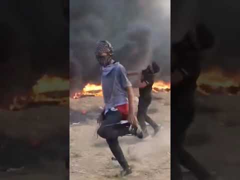 رقصة أصحاب الارض الفلسطينية     فلسطين حرة