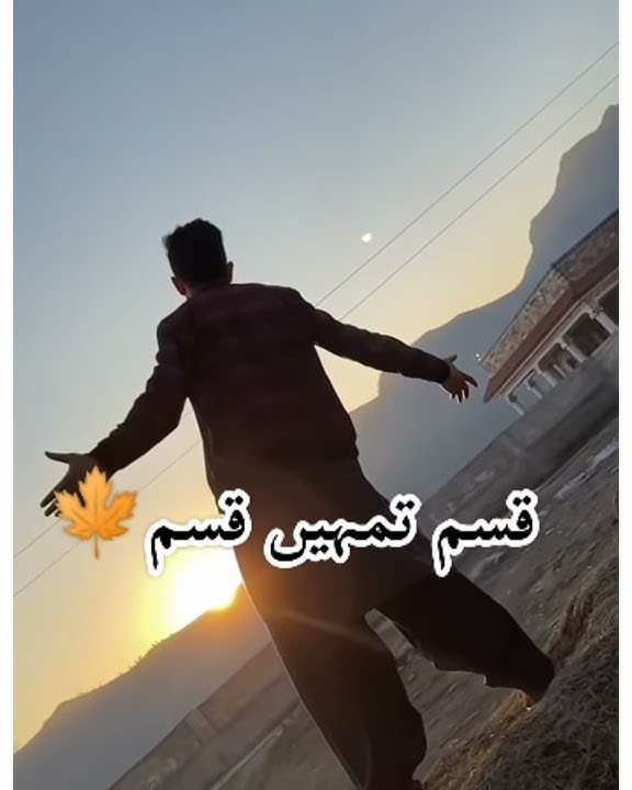 Janam Janam sath chalna yohe | Song | Diwala | My tiktok video