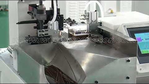 BZW-1.0 Automatic single end terminal crimping machine