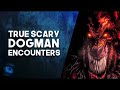 13 DOGMAN STORIES   SCARY TRUE DOGMAN ENCOUNTERS