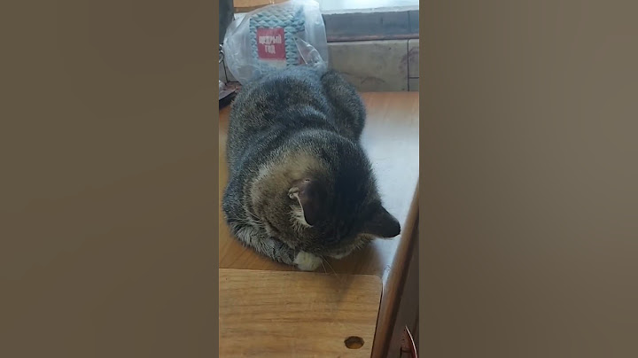 Не будите спящего кота!