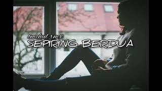 SEPIRING BERDUA ( MINANG ) REMIX 2022