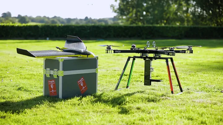 Reforesting The World With Drones | Lauren Fletcher