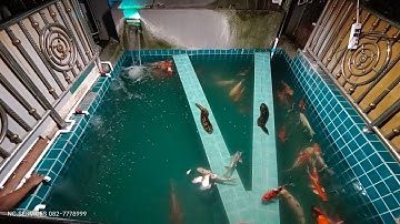 Max มันตา/ บ้านคุณแม่ - งานปรับปรุงระบบกรองสำหรับบ่อปลาคาร์พ เปลี่ยนวัสดุกรอง เพิ่มเติมกรองบน Set 3