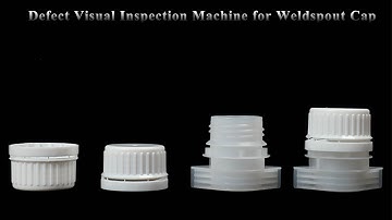Flexible and Efficient Vision Inspection Equipment for Defect Detection