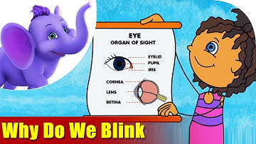 Why Do We Blink | Songs on Learning Science | 4K | Appu Series