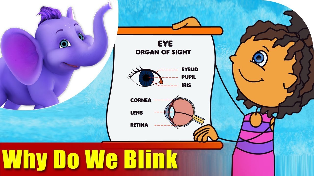 Why Do We Blink | Songs on Learning Science | 4K | Appu Series - YouTube
