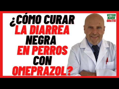 🔴 Cómo curar la  DIARREA NEGRA o MELENA en Perros  🔴con Gastritis y Úlcera  🔴 OMEPRAZOL para Perros