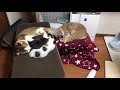 子猫を抱きしめて寝かしつける父猫が切ない