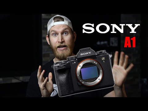 Sony A1 First Impressions - From a Canon Shooter