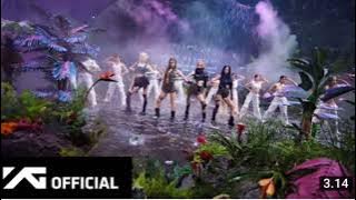 BLACKVINK - pink venom