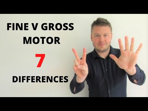 7 Differences Between Fine And Gross Motor Skills