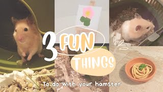3 FUN THINGS to do with your Hamster 🐹