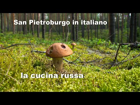 Video: Dove andare a mangiare i funghi a San Pietroburgo? Luoghi dei funghi San Pietroburgo