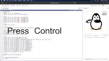 Scotty Pro Tips: Canvas View
