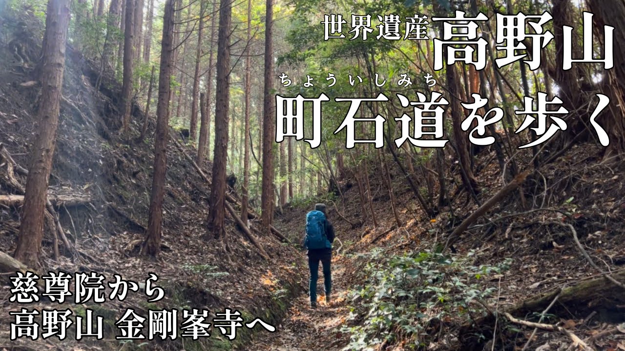 【アラフォー夫婦登山】世界遺産 高野山参詣道 町石道（ちょういしみち）空海が歩いた道を辿ります【ルート紹介】