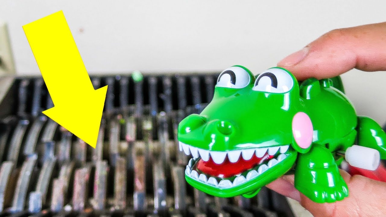 experiments for kids Wind-Up Crocodiles Shredded! Biting Crocodile Toys Destroyed! What's Inside??