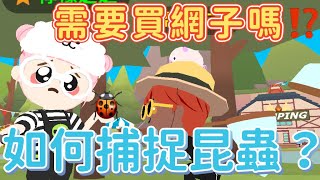 【天天玩樂園】630天天更新昆蟲要如何抓⁉️網子哪裡買⁉️ 