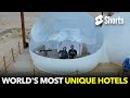 World's Most Unique Hotels (Bubbles, Vans, Tents, and Gold!)