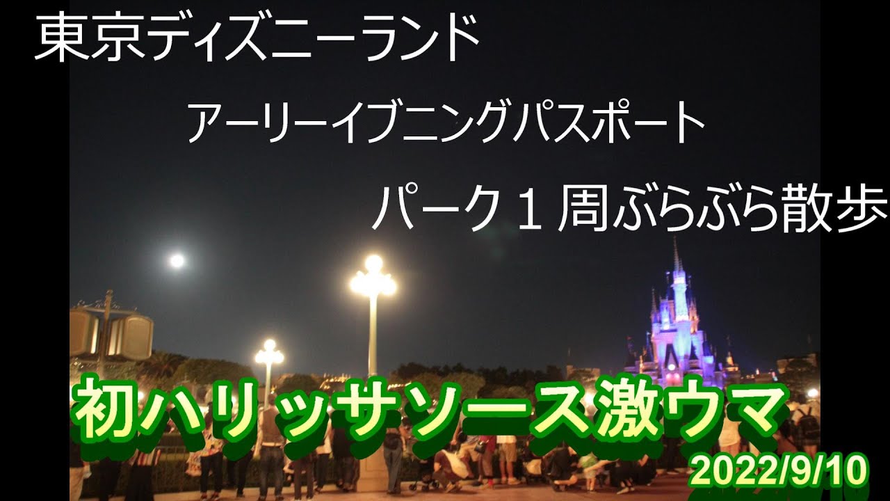 東京ディズニーランド アーリーイブニングパスポートで１周 久し振りに食べたカレーが美味しかった Youtube