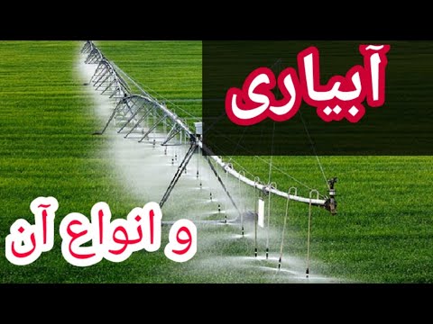 تصویری: چند نوع سیستم اعداد وجود دارد؟