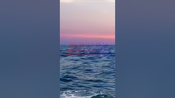سورة البقرة اية 149 - مع صوت البحر بصوت جميل - وَمِنْ حَيْثُ خَرَجْتَ فَوَلِّ وَجْهَكَ