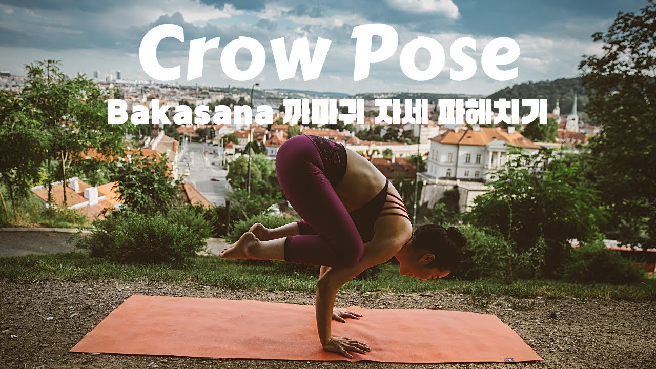 까마귀 자세 바카사나 파헤치기 / How to Do Crow Pose.