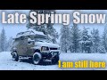 Late spring snowstorm  i am still here